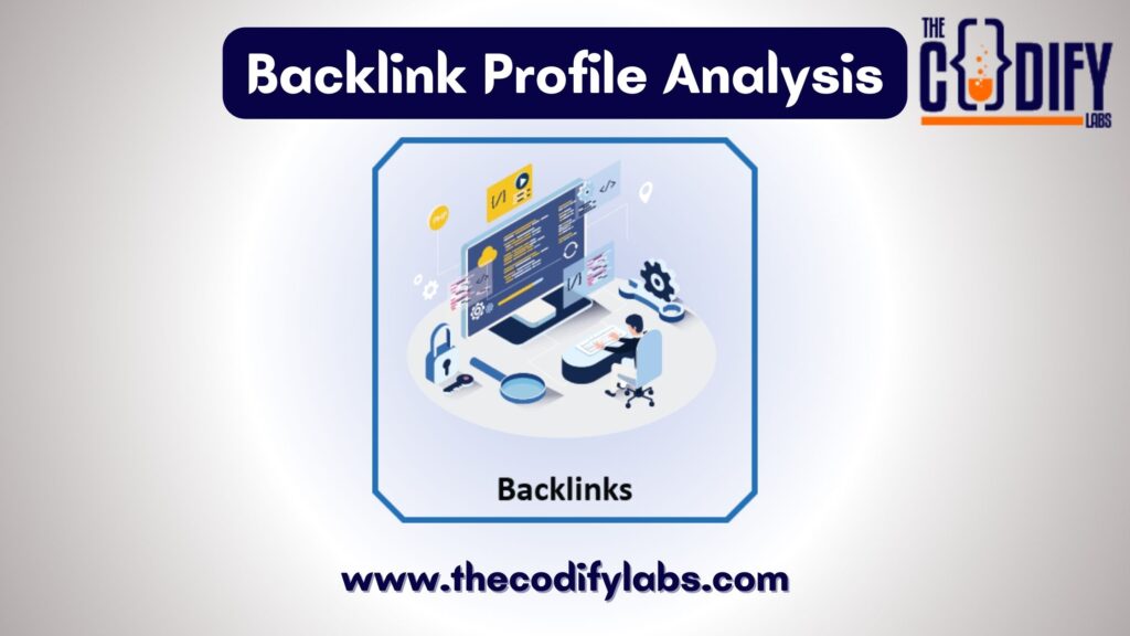 Backlink Profile Analysis